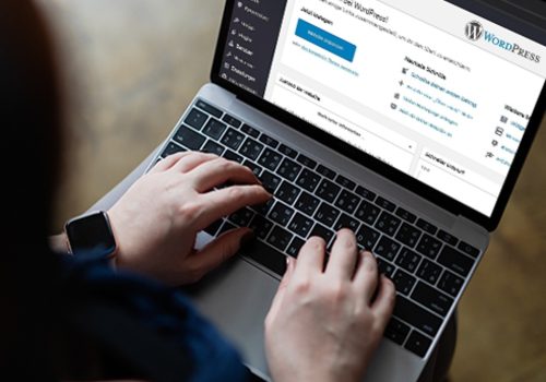 wordpress-development